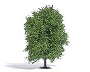 070-3732 - 1:87 - Buche 125 mm Sommer